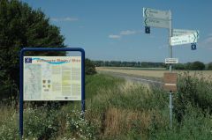 Goed bewegwijzerde Rijn-fietsroute